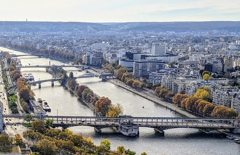 Île aux Cygnes in Paris