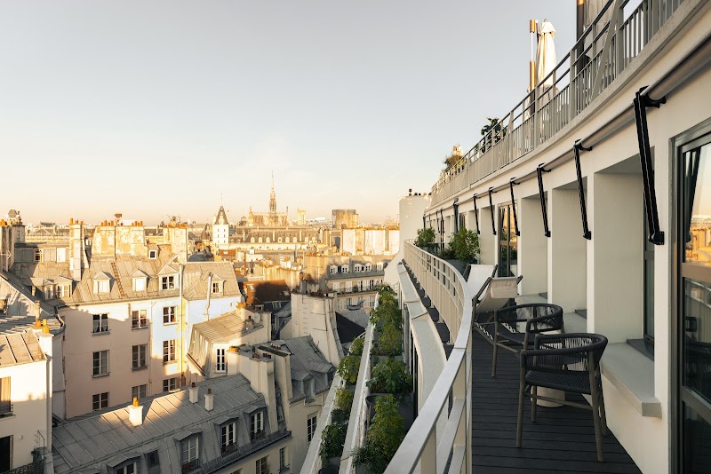 Dame des Arts — rooftop in Paris