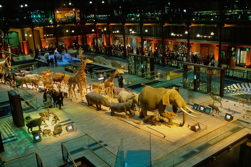 Gallery of Evolution in Paris