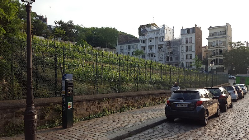 Rue Saint-Vincent in Paris